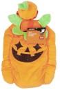 Pumpkin-and-Hat-Small-to-Medium Sale