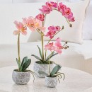 Artificial-Phalaenopsis-Pink-Orchid-in-Pot-by-MUSE Sale