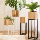 Manly-Wooden-Decorative-Pot-on-Metal-Stand-by-Habitat Sale
