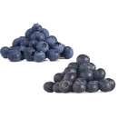 Australian-Blueberries-170g-Punnet Sale