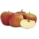 Australian-Envy-Apples Sale
