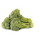 Australian-Broccolini-Bunch Sale