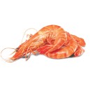 Thawed-Extra-Large-Cooked-Australian-Tiger-Prawns Sale