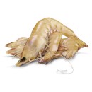 Thawed-Large-Australian-Green-Banana-Prawns Sale