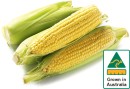 Australian-Sweet-Corn-500g-Pack Sale
