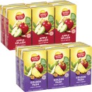 Golden-Circle-Tetra-Fruit-Drink-6x250mL Sale