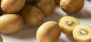Gold-Kiwifruit Sale