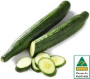 Australian-Continental-Cucumber Sale