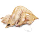 Thawed-Large-Australian-Green-Banana-Prawns Sale