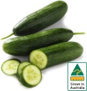 Australian-Lebanese-Cucumber Sale