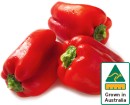 Australian-Red-Capsicum Sale