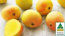 Australian-Kensington-Pride-Mangoes Sale