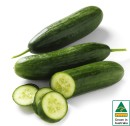Australian-Lebanese-Cucumber Sale