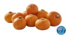Australian-Mini-Jack-Pumpkin Sale