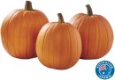 Australian-Jack-O-Lantern-Pumpkin Sale