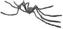 Spider-Grey-Giant-23m-Ea Sale