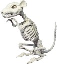 NEW-Skeleton-Rat-33cm-Ea Sale