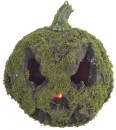 NEW-Pumpkin-with-Moss-LED-Eyes-20cm-Ea Sale