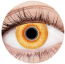 NEW-Contact-Lenses-Supernatural-Ea Sale