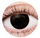 NEW-Contact-Lenses-Black-Witch-Ea Sale