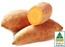Australian-Gold-Sweet-Potatoes Sale