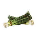 Australian-Spring-Onion Sale