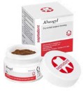 Septodont-Alveogyl-Paste-10g-Jar-Dry-Socket-Treatment Sale