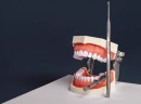 NEW-Maestro-Matrix-Master-Instrument-Application-Removal Sale