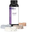 NextDent-Model Sale