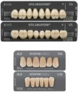 20-off-Vita-Excell-Lingoform Sale