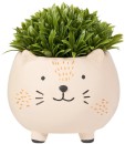 Otto-Topiary-in-Hedgehog-Planter Sale
