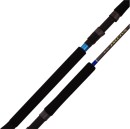 20-off-Regular-Price-on-Daiwa-23-Saltist-Rods Sale