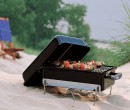 Weber-Go-Anywhere-BBQ Sale