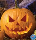 Australian-Jack-O-Lantern-Pumpkin Sale