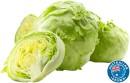 Australian-Iceberg-Lettuce Sale