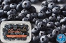 Australian-Eureka-Blueberries-200g-Punnet Sale