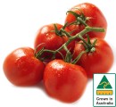 Australian-Truss-Tomatoes Sale
