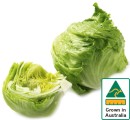 Australian-Iceberg-Lettuce Sale
