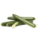 Australian-Continental-Cucumber Sale