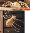 Halloween-Large-Spider Sale