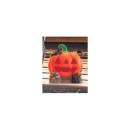 Halloween-Light-Up-House-Assorted Sale