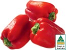 Australian-Red-Capsicum Sale