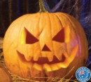 Australian-Jack-O-Lantern-Pumpkin Sale