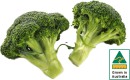 Australian-Broccoli Sale