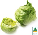 Australian-Iceberg-Lettuce Sale