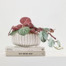 Reef-Decorative-Bowl-by-MUSE Sale