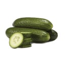 Australian-Lebanese-Cucumbers Sale