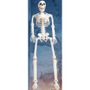 Halloween-Large-Hanging-Skeleton Sale
