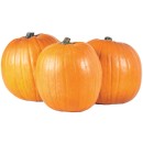 Australian-Halloween-Pumpkin Sale