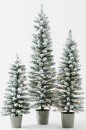 Anko-Set-of-3-Snowy-Prelit-Potted-Christmas-Trees-90cm3ft-120cm-4ft-150cm-5ft-O Sale